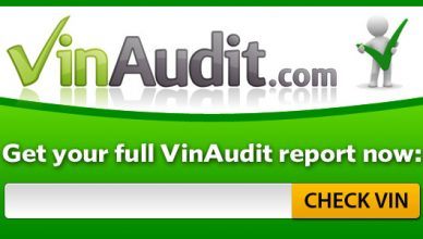 vin auditas