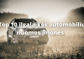 Ilgalaikė automobilių nuoma Top 10 įmonių